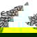 item-210251260=2