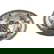 item-210251723=1