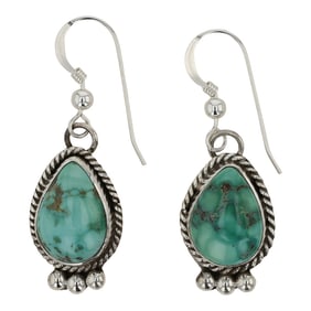 Navajo Fox Turquoise Earrings