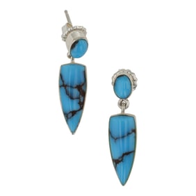 Erma Arivso Navajo Spiderweb Turquoise Earrings