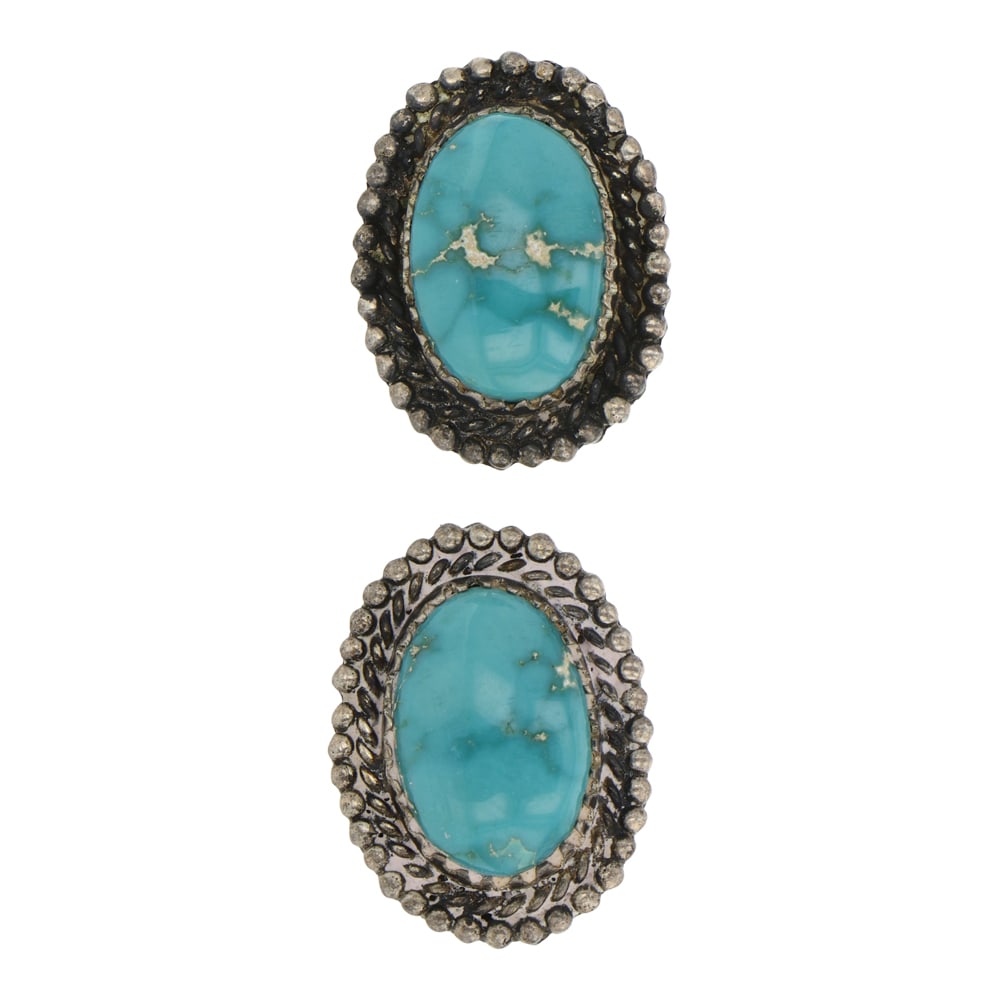 Vintage Navajo Fox Turquoise Screw Back Earrings (1 of 2)