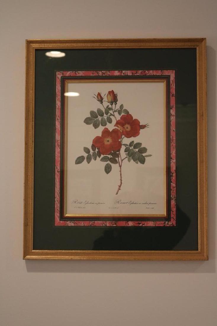 Rose Floral Framed Print Left (1 of 10)