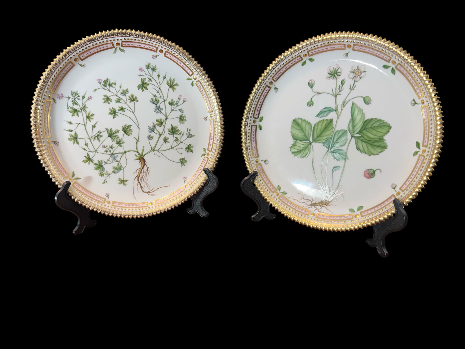Pair of Royal Copenhagen "Flora Danica" Porcelain Dinner Plates #3566, Denmark, 10": Exceptional pair of Royal Copenhagen "Flora Danica" porcelain dinner plates, each featuring a unique hand-painted botanical specimen of Danish flora. The plates display the characteristic serrated gol