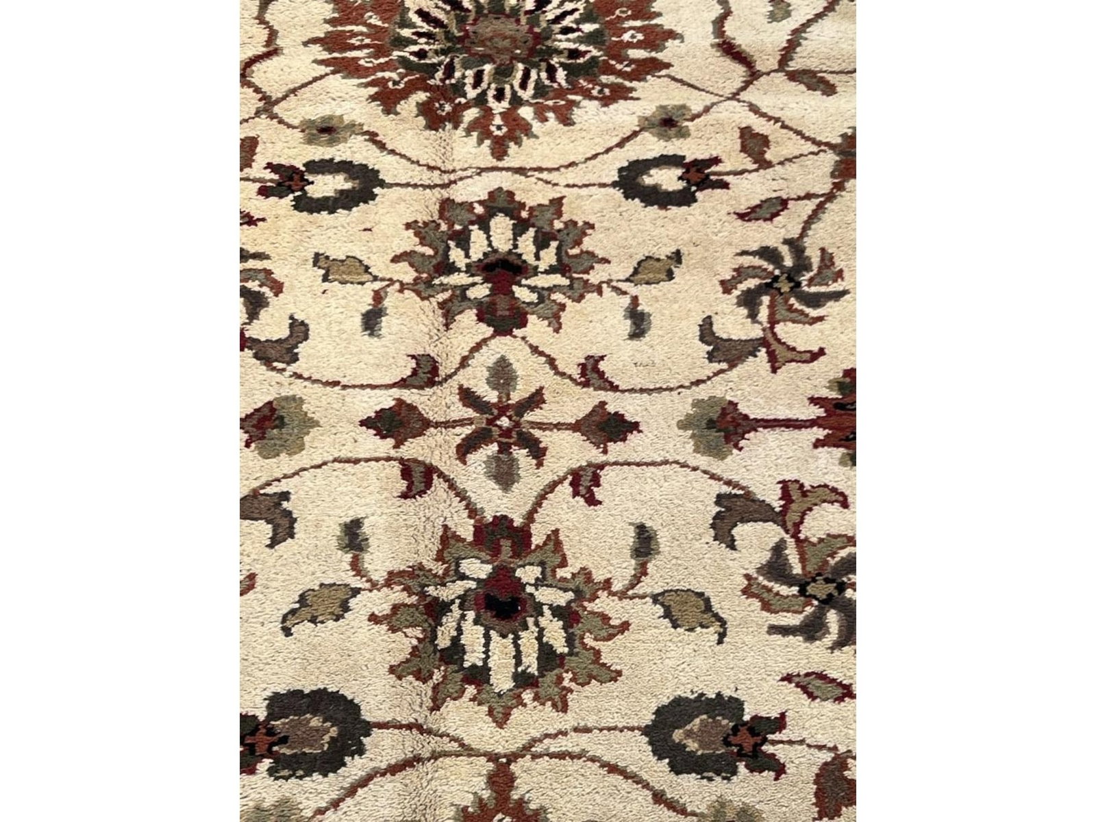 $2,560 - Cream Ground with Ebony Border Carpet, Lucerne Design, Hand-Knotted Wool, 8'0" x 10'0" - 2