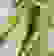 item-52174555=6