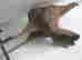 item-74904055=6