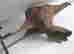 item-81082649=6