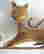 item-107590033=7