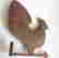 item-107590202=3