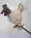 item-110485177=3