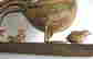 item-112479164=12