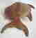 item-117719060=5