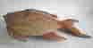 item-117719060=8