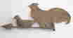 item-130730505=6