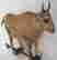 item-130730564=2