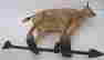 item-130730564=3