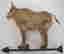 item-130730564=5