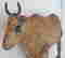 item-130730564=7