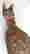 item-130730590=3