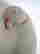 item-130730591=6