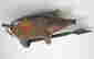 item-130730631=5