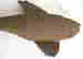 item-135792366=6