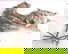 item-206430325=2