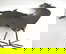 item-206430325=7