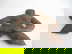item-206430348=4