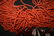 Coral Bead Bracelet - 17