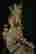 item-85222261=13