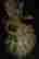 item-85222261=14