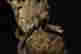 item-85222261=17