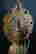 item-127148502=6