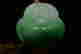 item-127148533=4
