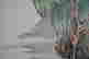 item-127148729=5