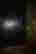 item-131708478=6