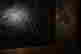 item-131708478=7