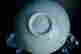 item-131708530=13