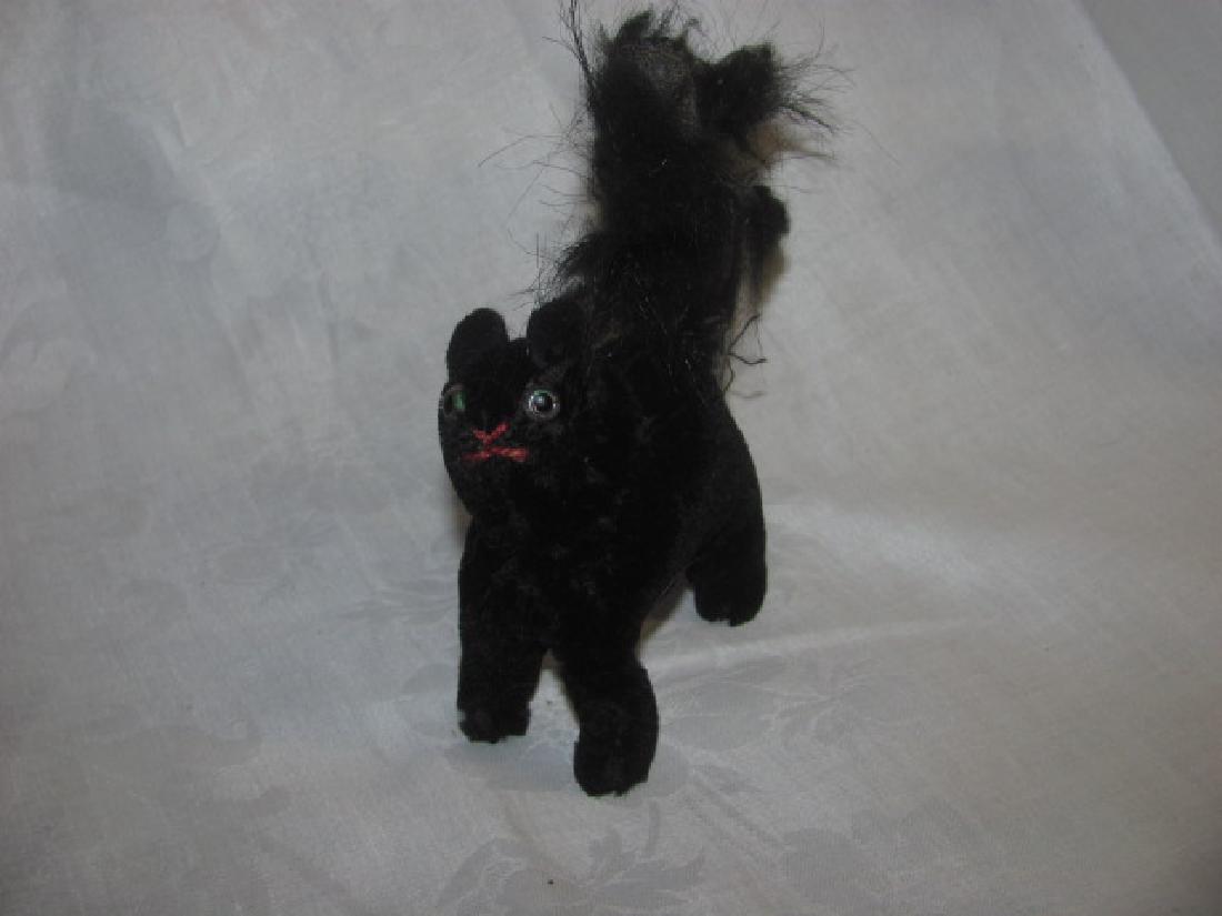 BLACK STEIFF CAT (1 of 2)