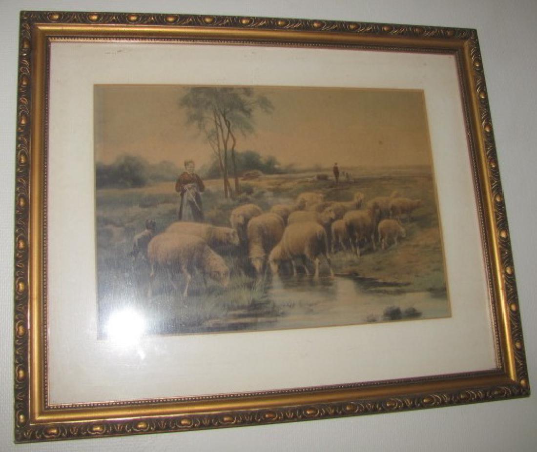 Sheep Print (1 of 3)