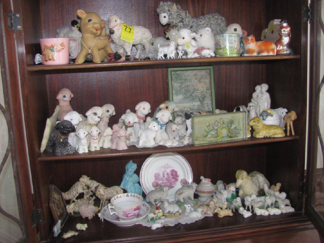 Sheep / Lamb Lot (1 of 13)