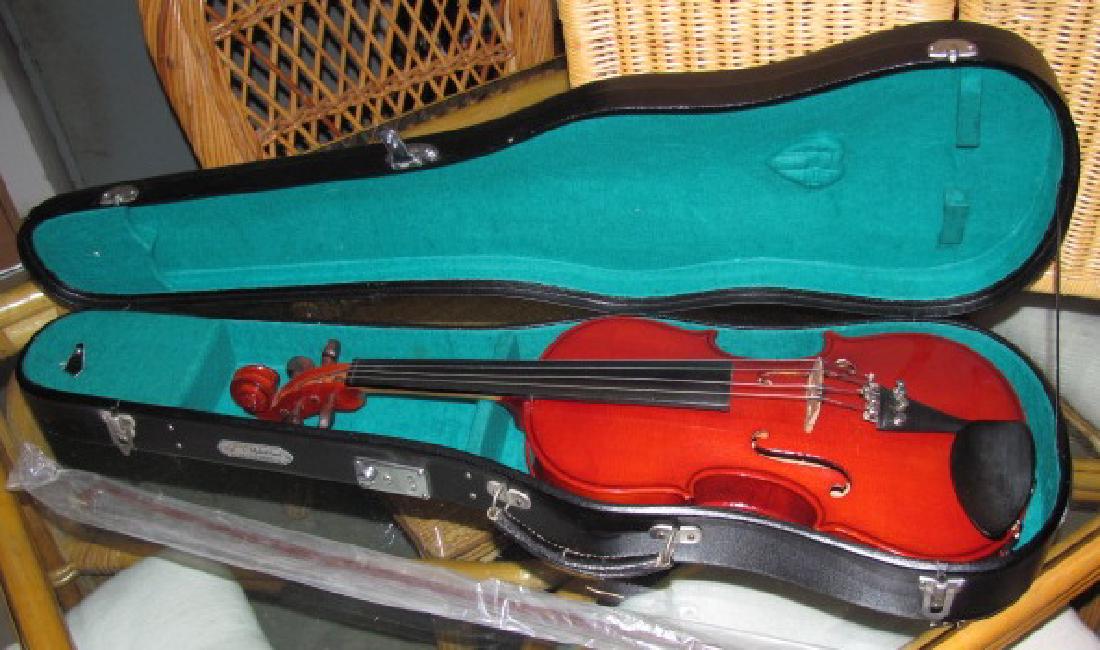 Skylark Lark Violin (1 of 6)