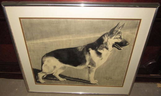 Bobby Pastorella German Shepherd Drawing: This was done for a champion show dog. It is approx. 24" x 29"