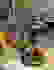 item-56335566=2