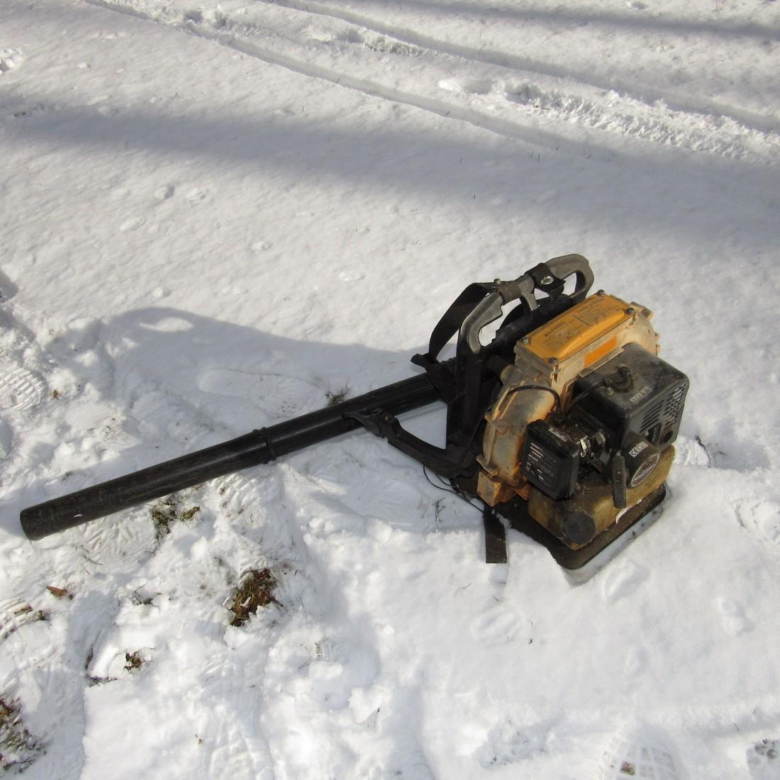 Echo Leaf Blower (1 of 5)