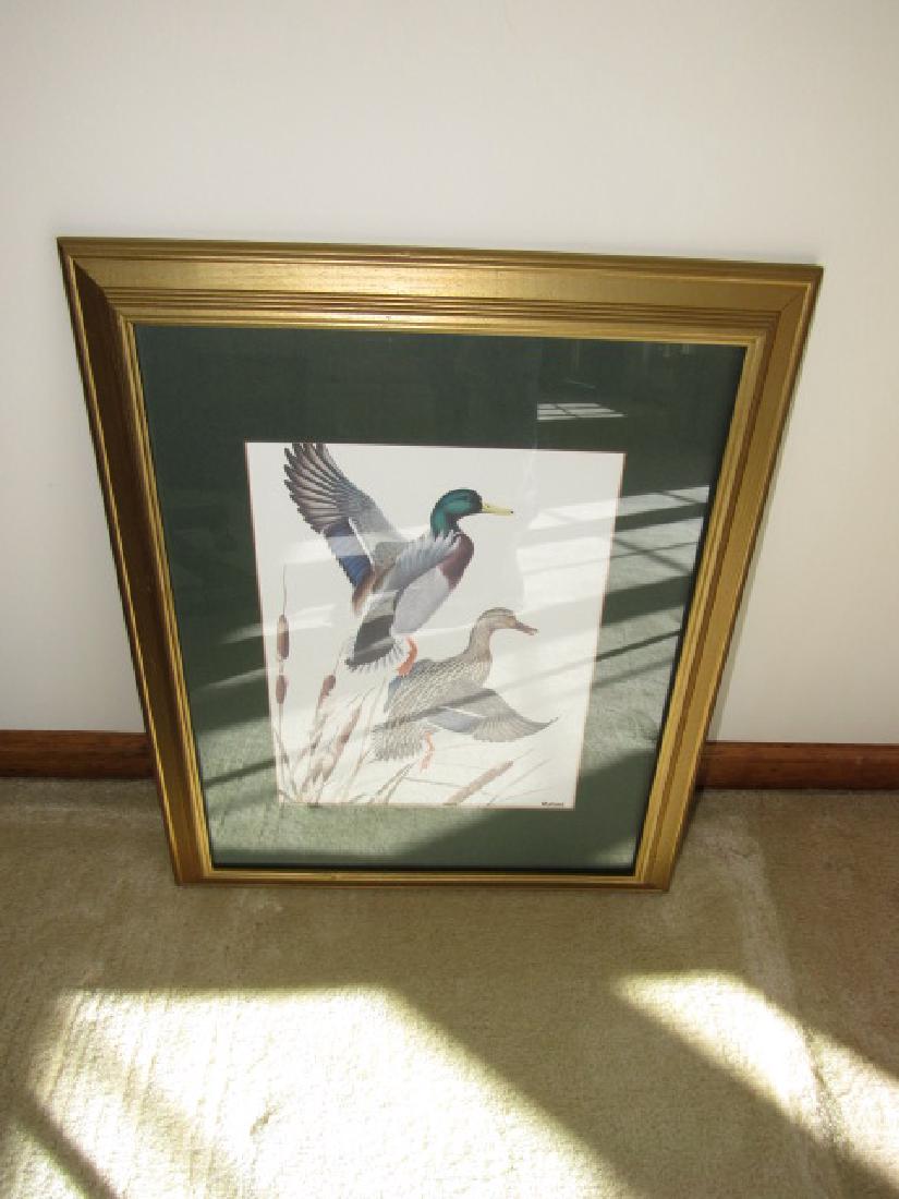Mallard Duck Print (1 of 2)