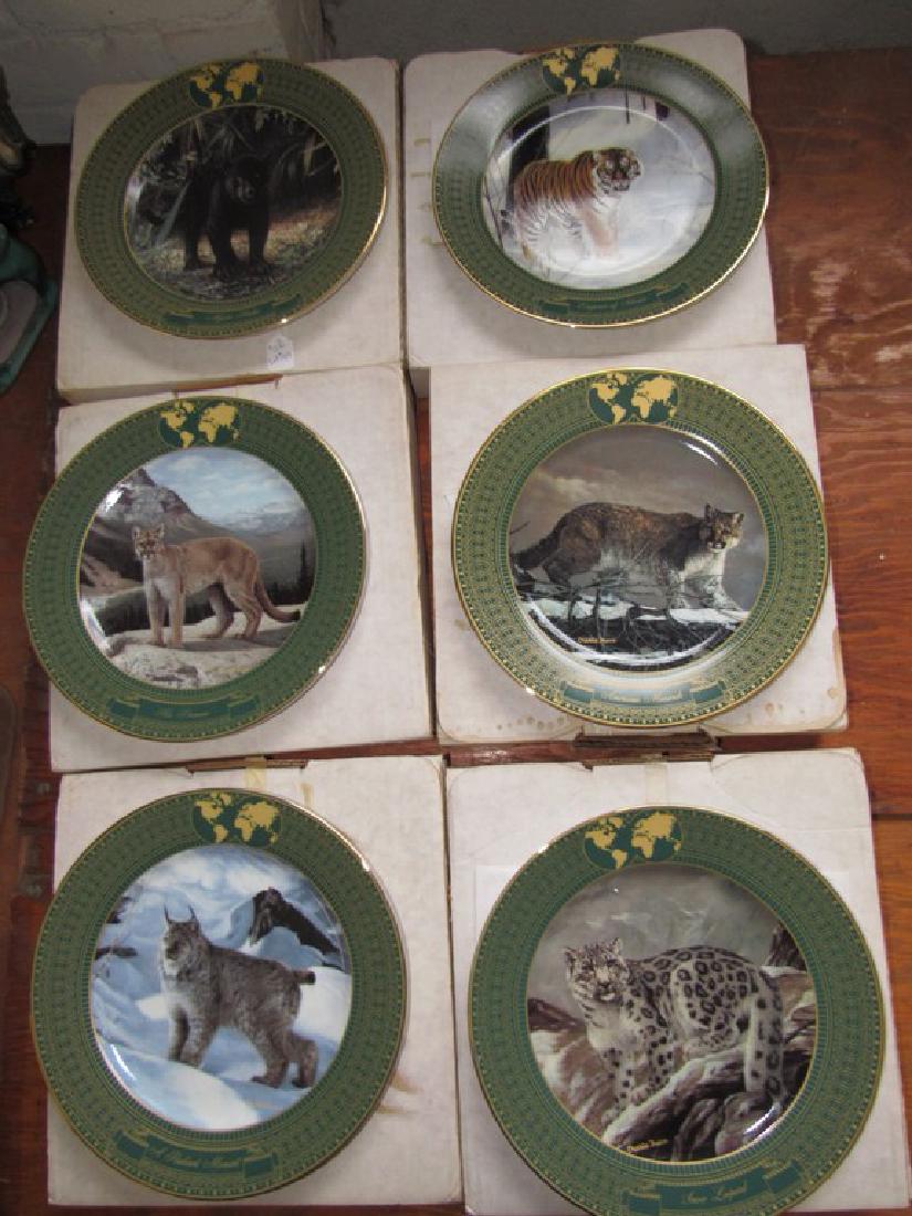 Bradford Exchange Fraces Kingdom of Great Cats (1 of 8)