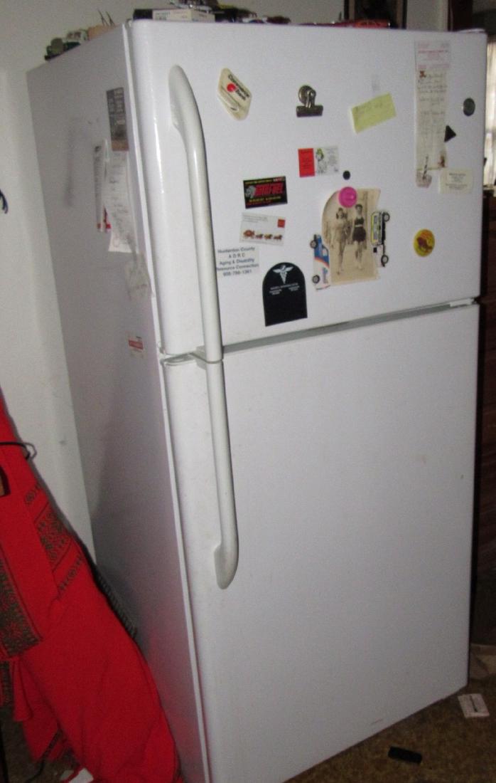 GE Refrigerator (1 of 3)