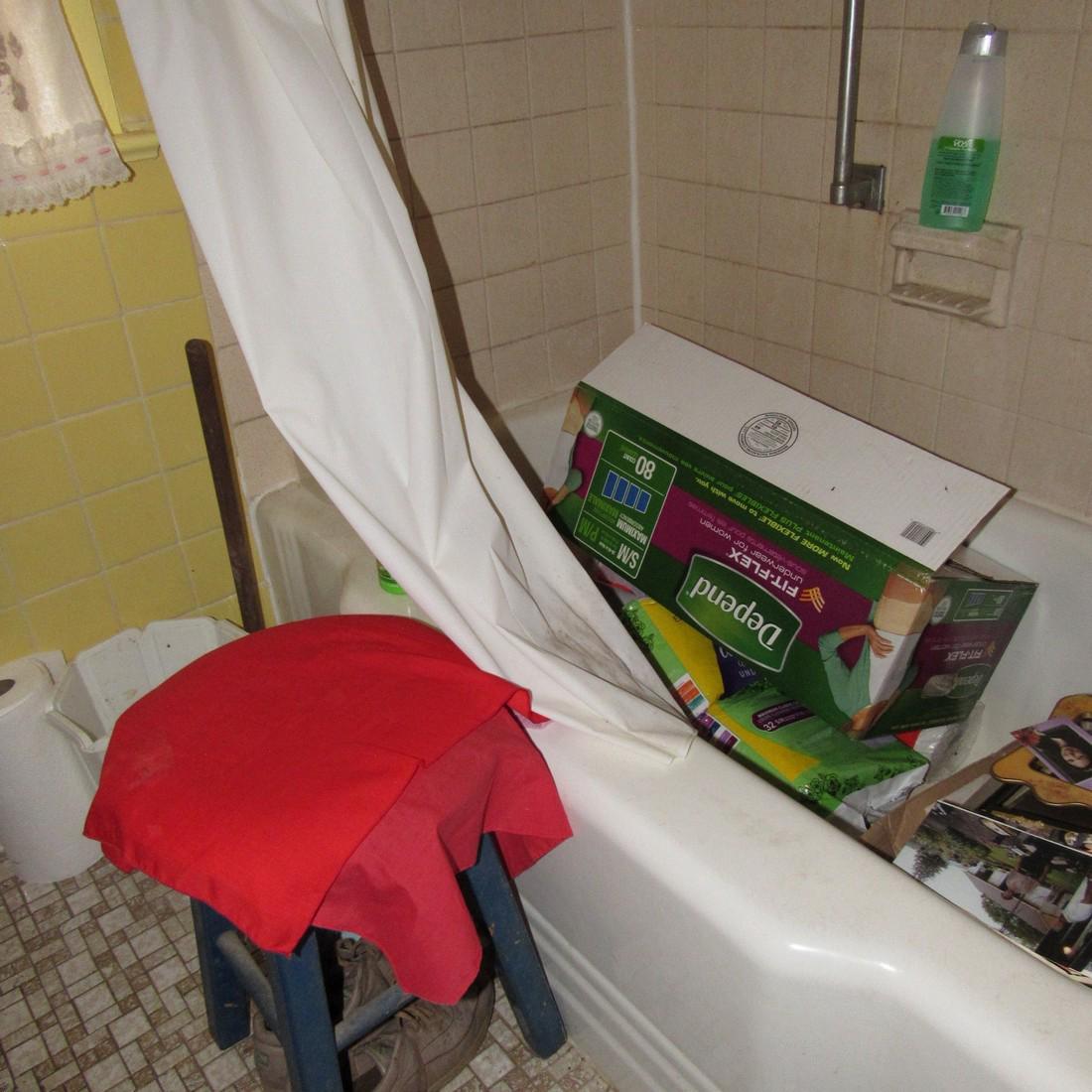 Contents of Bathroom (1 of 8)